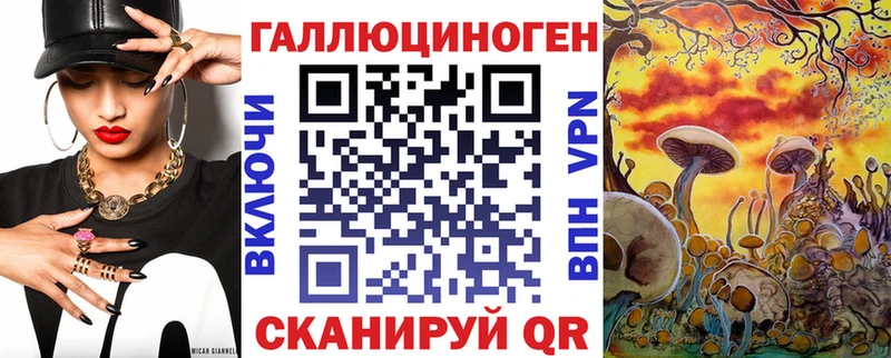 Галлюциногенные грибы Psilocybine cubensis  Купить где  Славск 