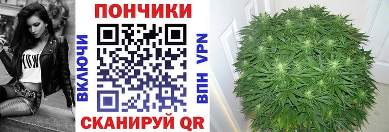 Купить где  Славск  Конопля OG Kush 